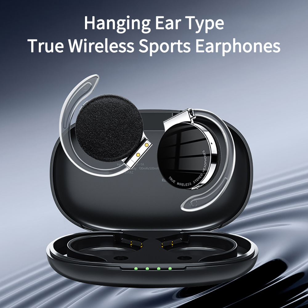 F2 TWS Earphones With Micropho - đánh giá và giá Sports Earphone Hook